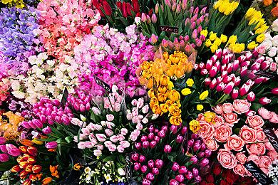 FF15制作人田畑端新作《SHALLAH》公布 背景为一千零一夜