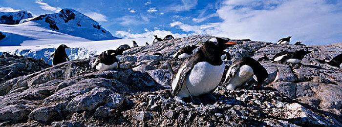 高能电玩节：RTS《被遗忘的我们》新宣传片公开