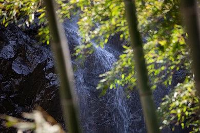独立武侠《武林志2》三月更新前瞻 多结局事件首曝